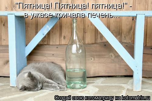 "Пятница! Пятница! пятница!" - в ужасе кричала печень...... Котоматрица: "Пятница! Пятница! пятница!" - в ужасе кричала печень...