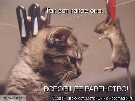 Так вот какое оно... ....ВСЕОБЩЕЕ РАВЕНСТВО!... Котоматрица: Так вот какое оно... ....ВСЕОБЩЕЕ РАВЕНСТВО!
