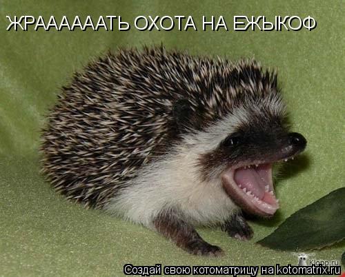 ЖРААААААТЬ ОХОТА НА ЕЖЫКОФ... Котоматрица: ЖРААААААТЬ ОХОТА НА ЕЖЫКОФ