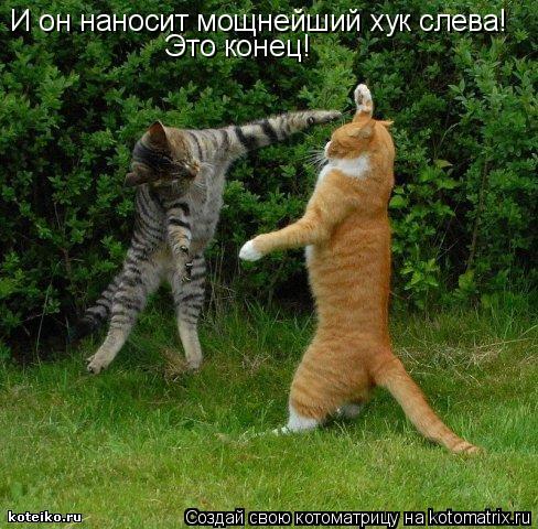 И он наносит мощнейший хук слева! Это конец!... Котоматрица: И он наносит мощнейший хук слева! Это конец!