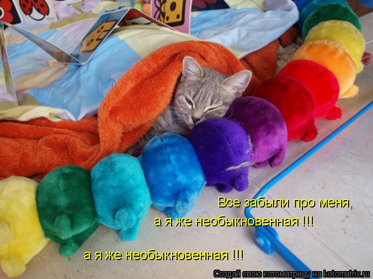 Все забыли про меня, а я же необыкновенная !!! а я же необыкновенная !!!... Котоматрица: Все забыли про меня, а я же необыкновенная !!! а я же необыкновенная !!!