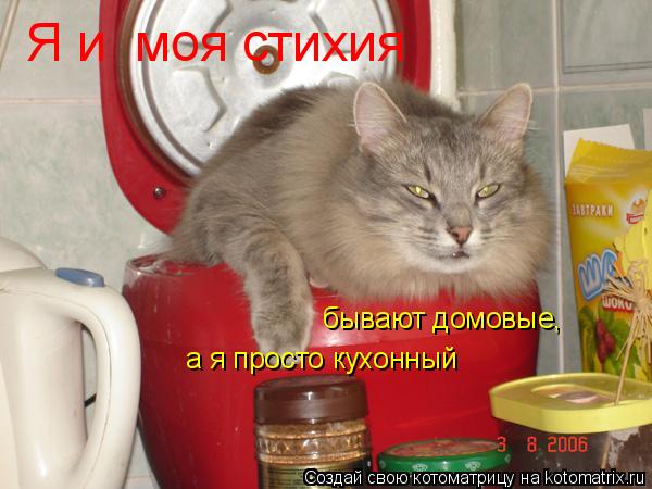 бывают домовые, а я просто кухонный Я и моя стихия... Котоматрица: бывают домовые, а я просто кухонный Я и моя стихия