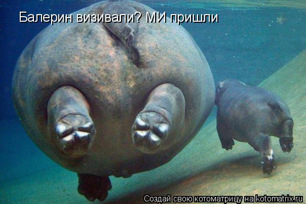 Балерин визивали? МИ пришли... Котоматрица: Балерин визивали? МИ пришли