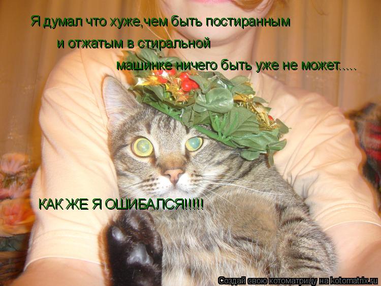 Я думал что хуже,чем быть постиранным и отжатым в стиральной машинке ничего быть уже не может..... КА... Котоматрица: Я думал что хуже,чем быть постиранным и отжатым в стиральной машинке ничего быть уже не может..... КАК ЖЕ Я ОШИБАЛСЯ!!!!!