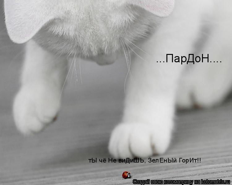 тЫ чё Не виДиШЬ, ЗелЕнЫй ГорИт!! ...ПарДоН....... Котоматрица: тЫ чё Не виДиШЬ, ЗелЕнЫй ГорИт!! ...ПарДоН....