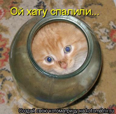 Ой хату спалили...... Котоматрица: Ой хату спалили...