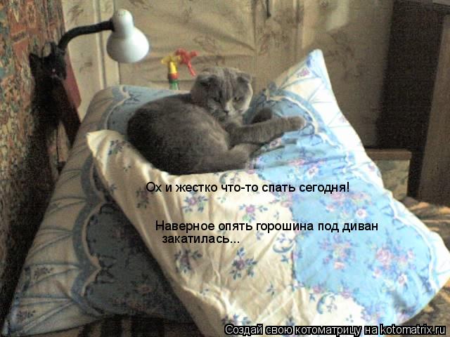 Ох и жестко что-то спать сегодня! Наверное опять горошина под диван закатилась...... Котоматрица: Ох и жестко что-то спать сегодня! Наверное опять горошина под диван закатилась...
