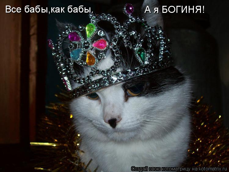 Все бабы,как бабы. А я БОГИНЯ!... Котоматрица: Все бабы,как бабы. А я БОГИНЯ!
