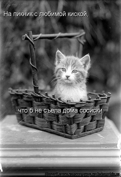 На пикник с любимой киской, что б не съела дома сосиски. что б не съела дома сосиски.... Котоматрица: На пикник с любимой киской, что б не съела дома сосиски. что б не съела дома сосиски.