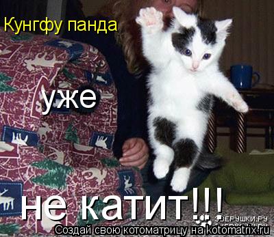 Кунгфу панда уже не катит!!!... Котоматрица: Кунгфу панда уже не катит!!!