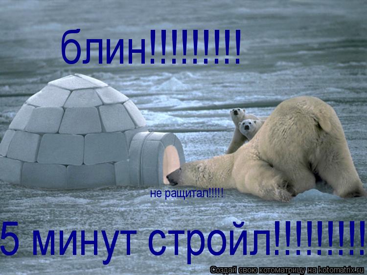 не ращитал!!!!! блин!!!!!!!!! 5 минут стройл!!!!!!!!!!! 5 минут стройл!!!!!!!!!!!... Котоматрица: не ращитал!!!!! блин!!!!!!!!! 5 минут стройл!!!!!!!!!!! 5 минут стройл!!!!!!!!!!!