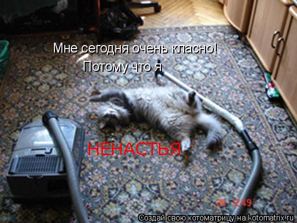 Мне сегодня очень класно! Потому что я НЕНАСТЬЯ... Котоматрица: Мне сегодня очень класно! Потому что я НЕНАСТЬЯ