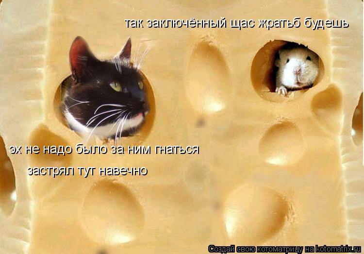 эх не надо было за ним гнаться застрял тут навечно так заключённый щас жратьб будешь... Котоматрица: эх не надо было за ним гнаться застрял тут навечно так заключённый щас жратьб будешь