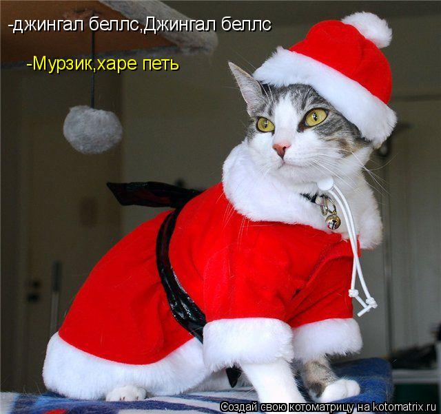 -джингал беллс,Джингал беллс -Мурзик,харе петь... Котоматрица: -джингал беллс,Джингал беллс -Мурзик,харе петь