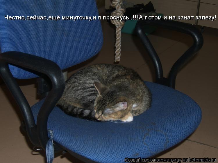 Честно,сейчас,ещё минуточку,и я проснусь..!!! Честно,сейчас,ещё минуточку,и я проснусь..!!!А потом и ... Котоматрица: Честно,сейчас,ещё минуточку,и я проснусь..!!! Честно,сейчас,ещё минуточку,и я проснусь..!!!А потом и на канат залезу!