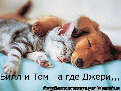 Билл и Том а где Джери,,,,,,,,,,,,,,, Билл и Том а где Джери,,,,,,,,,,,,,,,... Котоматрица: Билл и Том а где Джери,,,,,,,,,,,,,,, Билл и Том а где Джери,,,,,,,,,,,,,,,