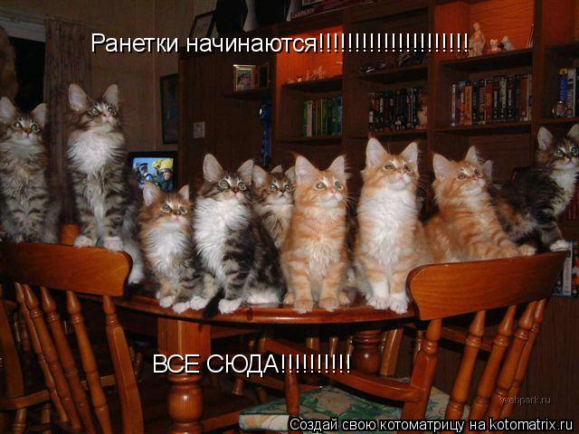 Ранетки начинаются!!!!!!!!!!!!!!!!!!!!! ВСЕ СЮДА!!!!!!!!!!... Котоматрица: Ранетки начинаются!!!!!!!!!!!!!!!!!!!!! ВСЕ СЮДА!!!!!!!!!!