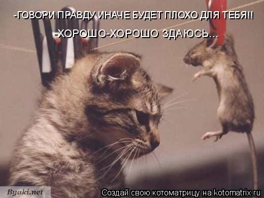 Котоматрица: -ГОВОРИ ПРАВДУ ИНАЧЕ БУДЕТ ПЛОХО ДЛЯ ТЕБЯ!! -ХОРОШО-ХОРОШО ЗДАЮСЬ...