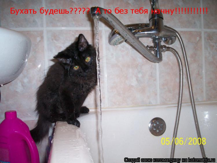 Бухать будешь????? А то без тебя начну!!!!!!!!!!!... Котоматрица: Бухать будешь????? А то без тебя начну!!!!!!!!!!!