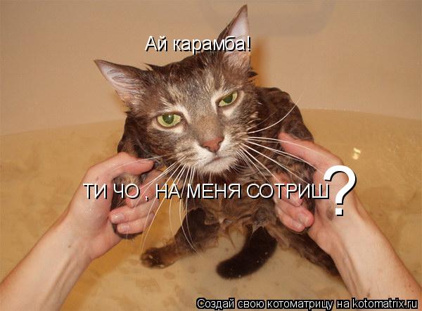 Ай карамба! ТИ ЧО , НА МЕНЯ СОТРИШ ?... Котоматрица: Ай карамба! ТИ ЧО , НА МЕНЯ СОТРИШ ?