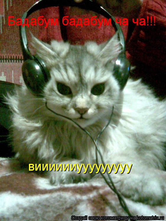 Бадабум бадабум ча ча!!! вииииииууууууууу... Котоматрица: Бадабум бадабум ча ча!!! вииииииууууууууу