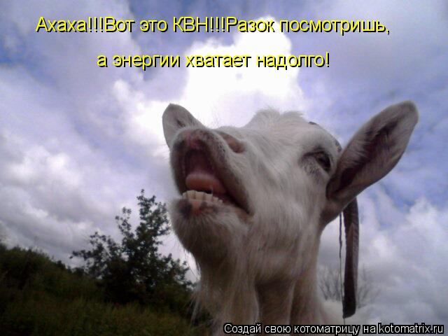 Ахаха!!!Вот это КВН!!!Разок посмотришь, а энергии хватает надолго!... Котоматрица: Ахаха!!!Вот это КВН!!!Разок посмотришь, а энергии хватает надолго!