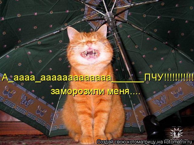 А_аааа_ааааааааааааа______ПЧУ!!!!!!!!!!! заморозили меня....... Котоматрица: А_аааа_ааааааааааааа______ПЧУ!!!!!!!!!!! заморозили меня....