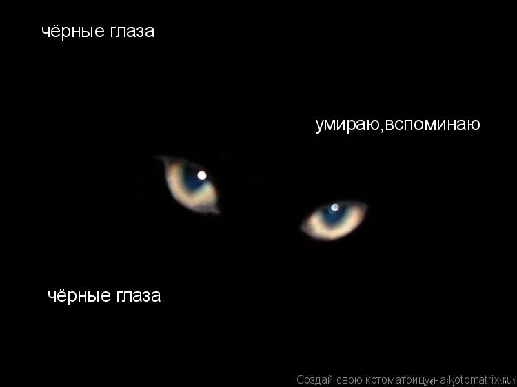 чёрные глаза умираю,вспоминаю чёрные глаза... Котоматрица: чёрные глаза умираю,вспоминаю чёрные глаза