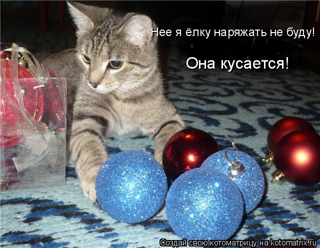 Нее я ёлку наряжать не буду! Она кусается!... Котоматрица: Нее я ёлку наряжать не буду! Она кусается!