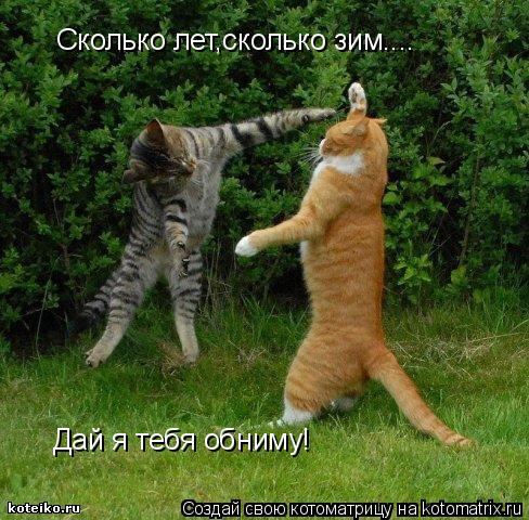 Сколько лет,сколько зим.... Дай я тебя обниму!... Котоматрица: Сколько лет,сколько зим.... Дай я тебя обниму!