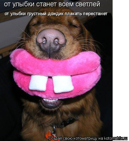 от улыбки станет всем светлей от улыбки грустный дождик плакать перестанет... Котоматрица: от улыбки станет всем светлей от улыбки грустный дождик плакать перестанет