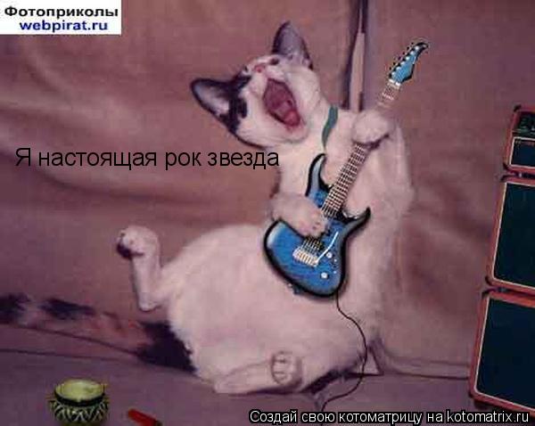 Я настоящая рок звезда... Котоматрица: Я настоящая рок звезда