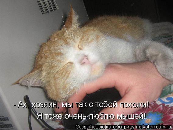 - Ах, хозяин, мы так с тобой похожи! Я тоже очень люблю мышей!..... Котоматрица: - Ах, хозяин, мы так с тобой похожи! Я тоже очень люблю мышей!..
