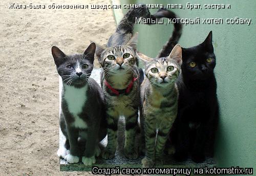 Жила-была обкновенная шведская семья: мама, папа, брат, сестра и Малыш, который хотел собаку.... Котоматрица: Жила-была обкновенная шведская семья: мама, папа, брат, сестра и Малыш, который хотел собаку.