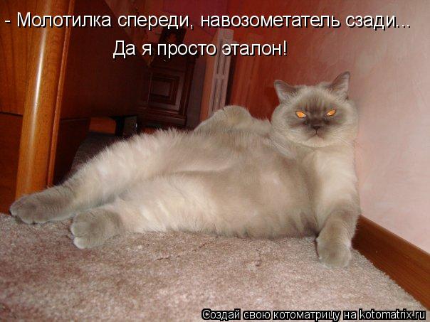 - Молотилка спереди, навозометатель сзади... Да я просто эталон!... Котоматрица: - Молотилка спереди, навозометатель сзади... Да я просто эталон!