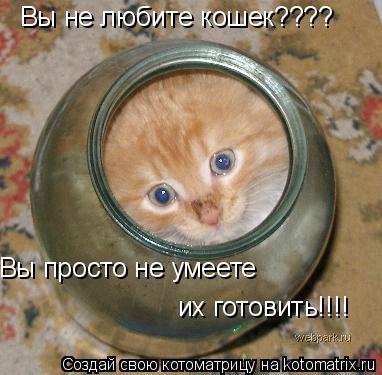 Вы не любите кошек???? Вы просто не умеете их готовить!!!!... Котоматрица: Вы не любите кошек???? Вы просто не умеете их готовить!!!!