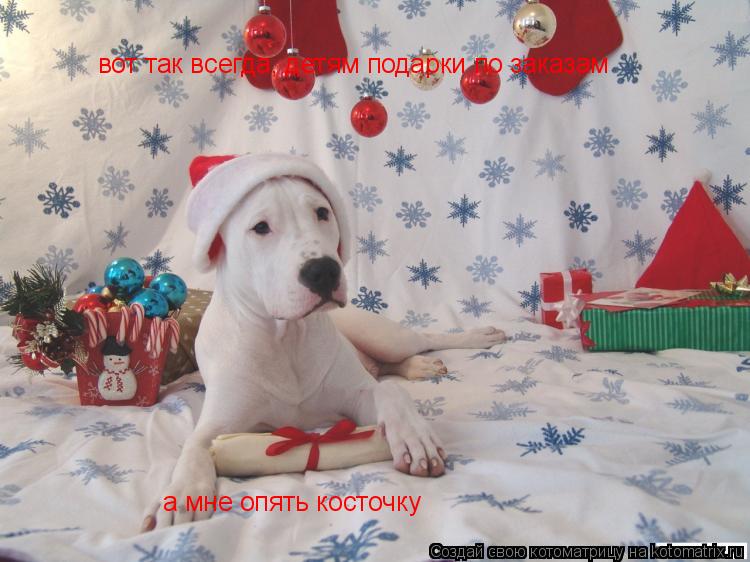 вот так всегда, детям подарки по заказам а мне опять косточку... Котоматрица: вот так всегда, детям подарки по заказам а мне опять косточку