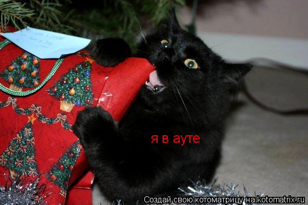 я в ауте... Котоматрица: я в ауте