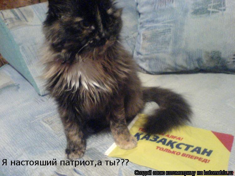 Котоматрица: Я настояший патриот,а ты??? Я настояший патриот,а ты???