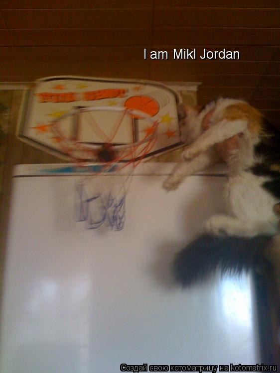 I am Mikl Jordan... Котоматрица: I am Mikl Jordan