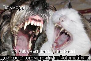 Котоматрица: Во,умора! Ой,бабоньки,щас уписаюсь!