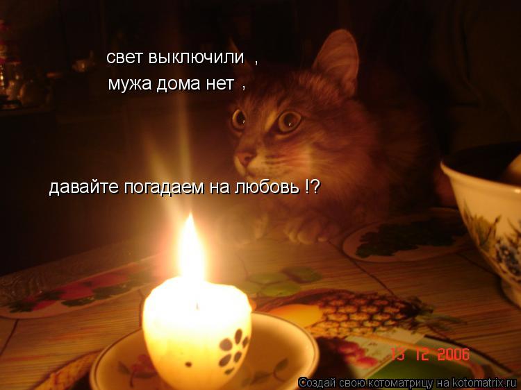 Котоматрица: свет выключили , мужа дома нет , давайте погадаем на любовь !?