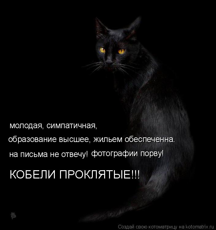 Котоматрица: молодая, симпатичная,  на письма не отвечу! образование высшее, жильем обеспеченна. фотографии порву! КОБЕЛИ ПРОКЛЯТЫЕ!!!