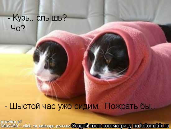 - Кузь.. слышь? - Чо? - Шыстой час ужо сидим.. Пожрать бы..... Котоматрица: - Кузь.. слышь? - Чо? - Шыстой час ужо сидим.. Пожрать бы..