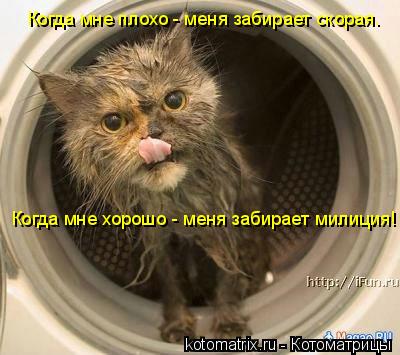 Котоматрица: Когда мне плохо - меня забирает скорая. Когда мне хорошо - меня забирает милиция!
