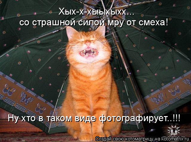 Ну хто в таком виде фотографирует..!!! со страшной силой мру от смеха! Хых-х-хыыхыхх...... Котоматрица: Ну хто в таком виде фотографирует..!!! со страшной силой мру от смеха! Хых-х-хыыхыхх...