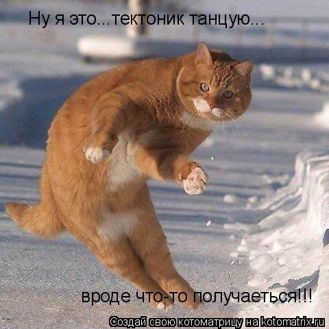 Ну я это...тектоник танцую... вроде что-то получаеться!!!... Котоматрица: Ну я это...тектоник танцую... вроде что-то получаеться!!!