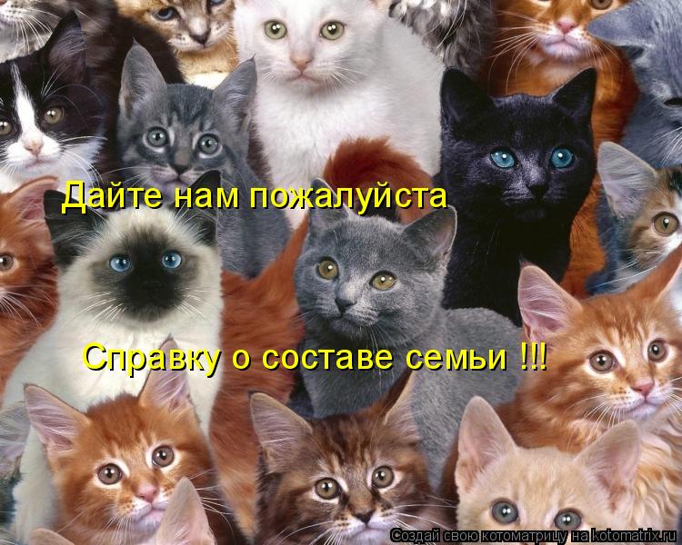 Дайте нам пожалуйста Справку о составе семьи !!!... Котоматрица: Дайте нам пожалуйста Справку о составе семьи !!!