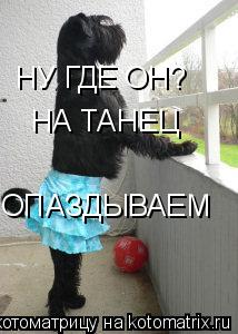 Котоматрица: НУ ГДЕ ОН? НА ТАНЕЦ ОПАЗДЫВАЕМ