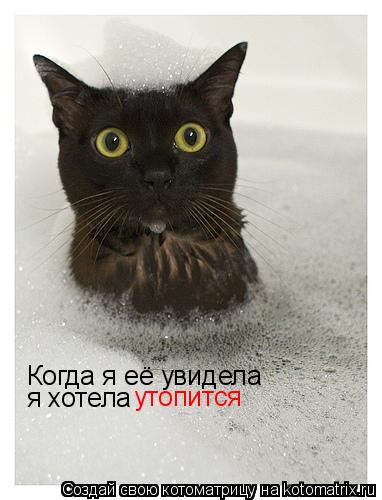 Когда я её увидела я хотела утопится... Котоматрица: Когда я её увидела я хотела утопится